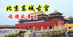 插进我的小穴视频中国北京-东城古宫旅游风景区